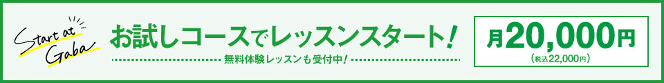 お試しコース20,000円でレッスンスタート